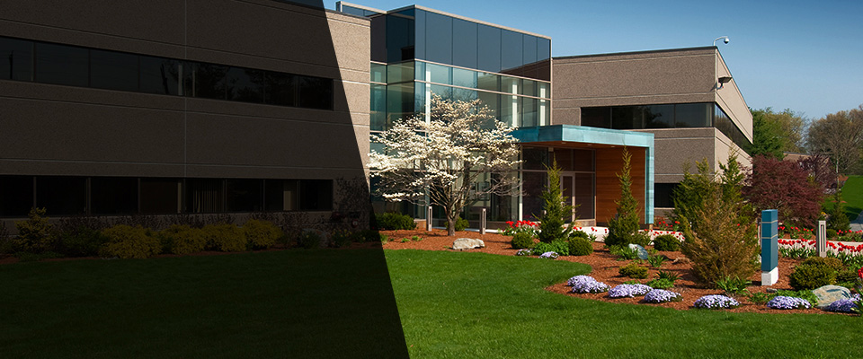 Morrisville Landscapers