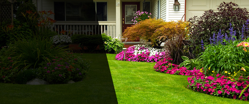 Morrisville Landscapers