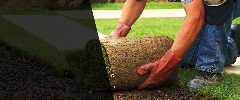 Morrisville Landscapers